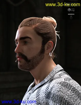 3D打印模型Yvanovich Bun Hair and Beard for Genesis 8 Male(s)的图片