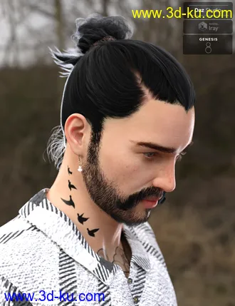 3D打印模型Yvanovich Bun Hair and Beard for Genesis 8 Male(s)的图片