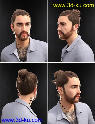 3D打印模型Yvanovich Bun Hair and Beard for Genesis 8 Male(s)的图片