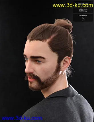 3D打印模型Yvanovich Bun Hair and Beard for Genesis 8 Male(s)的图片