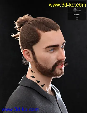 3D打印模型Yvanovich Bun Hair and Beard for Genesis 8 Male(s)的图片