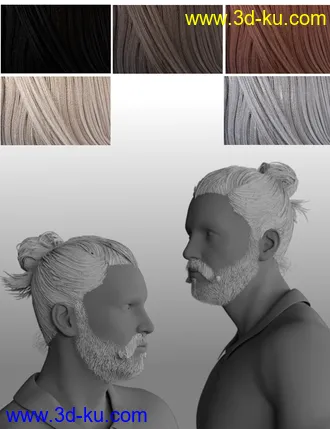 3D打印模型Yvanovich Bun Hair and Beard for Genesis 8 Male(s)的图片