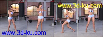 3D打印模型Z Boxing Legend - Poses for Genesis 3 & 8 Female的图片