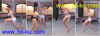 3D打印模型Z Boxing Legend - Poses for Genesis 3 & 8 Female的图片