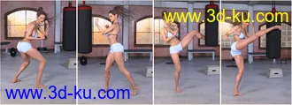 3D打印模型Z Boxing Legend - Poses for Genesis 3 & 8 Female的图片