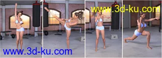3D打印模型Z Boxing Legend - Poses for Genesis 3 & 8 Female的图片