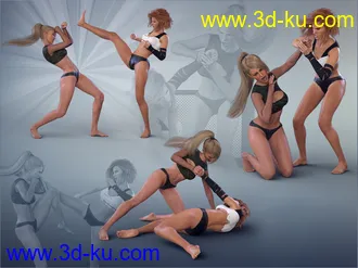 3D打印模型Z Fight Club - Couple Poses for Genesis 3 & 8 Female的图片