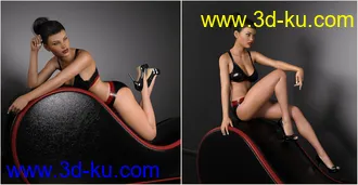 3D打印模型Z Leather Lounge - Prop and Poses for Genesis 3 and 8 Female的图片