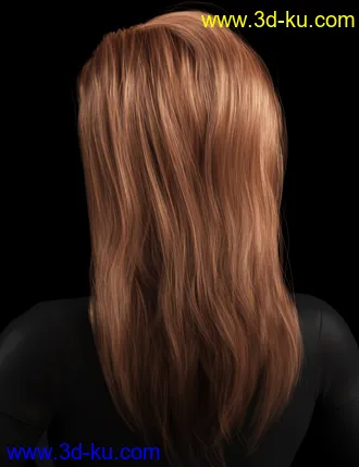 2021-04 Hair for Genesis 8 and 8.1 Females模型的图片3