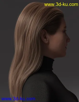 2021-04 Hair for Genesis 8 and 8.1 Females模型的图片6