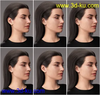 3D打印模型2021-04 Hair for Genesis 8 and 8.1 Females的图片