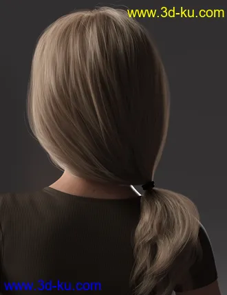 3D打印模型2021-05 Hair for Genesis 8 and 8.1 Females的图片