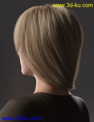 3D打印模型2021-05 Hair for Genesis 8 and 8.1 Females的图片