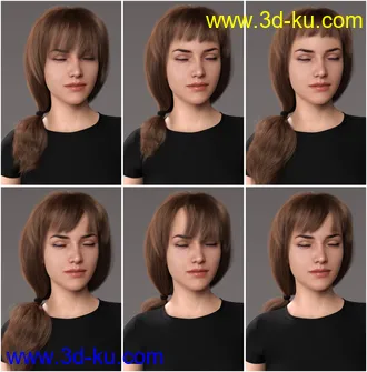 3D打印模型2021-05 Hair for Genesis 8 and 8.1 Females的图片