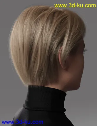 3D打印模型2021-10 Hair for Genesis 8 and 8.1的图片
