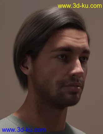 3D打印模型2021-10 Hair for Genesis 8 and 8.1的图片
