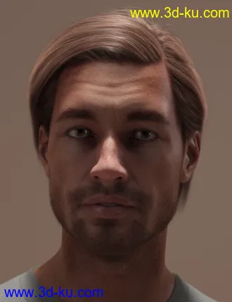 3D打印模型2021-10 Hair for Genesis 8 and 8.1的图片