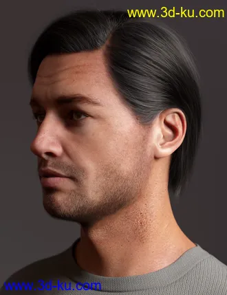 3D打印模型2021-10 Hair for Genesis 8 and 8.1的图片
