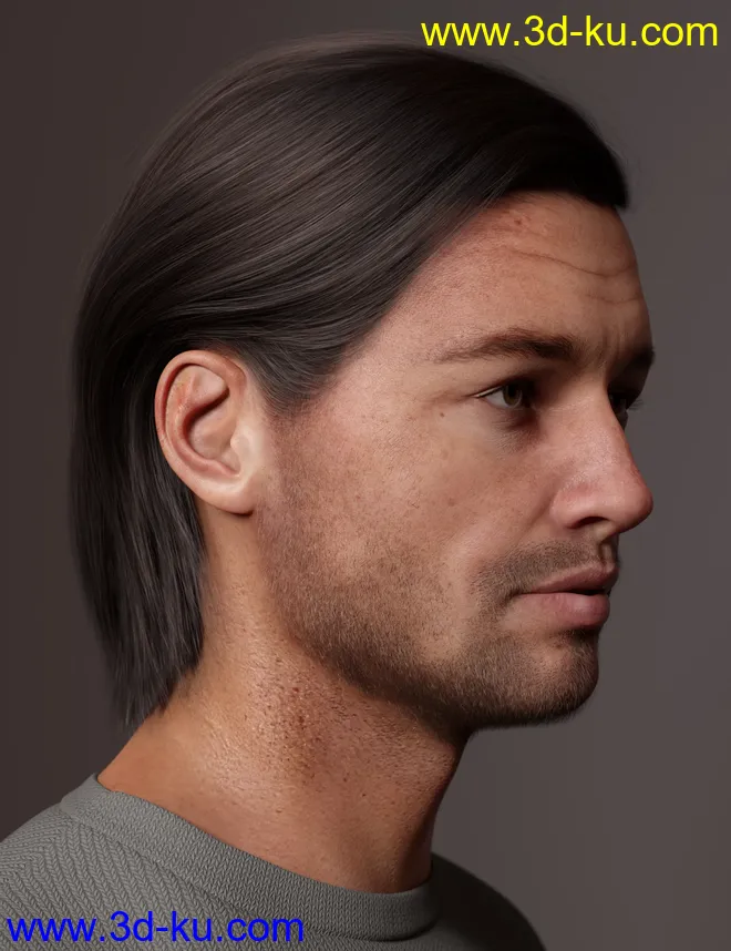 2021-10 Hair for Genesis 8 and 8.1模型的图片17