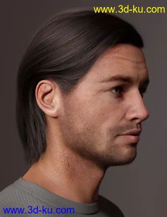 3D打印模型2021-10 Hair for Genesis 8 and 8.1的图片