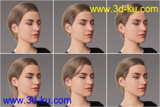 3D打印模型2021-10 Hair for Genesis 8 and 8.1的图片