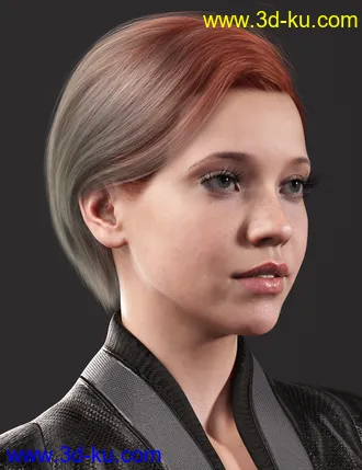 3D打印模型2021-10 Hair Texture Expansion的图片