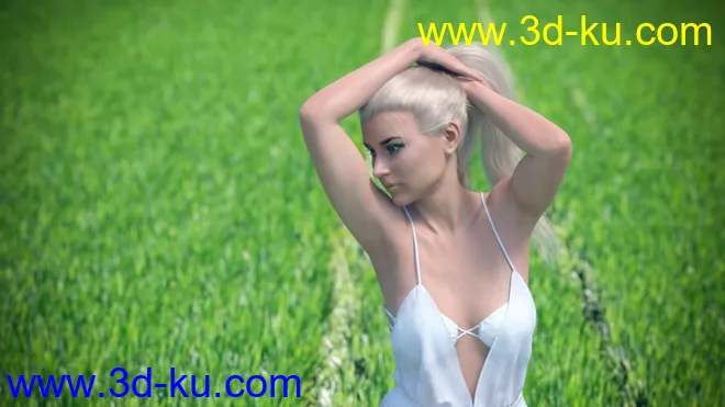 3D Photo Scenes - Magical Fields模型的图片13