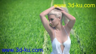 3D打印模型3D Photo Scenes - Magical Fields的图片