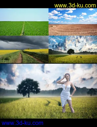 3D打印模型3D Photo Scenes - Magical Fields的图片
