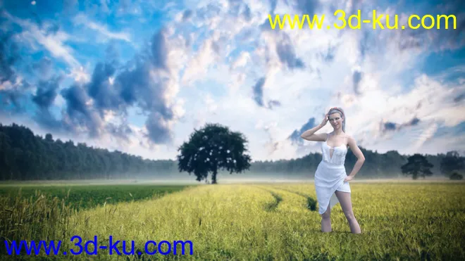 3D Photo Scenes - Magical Fields模型的图片18
