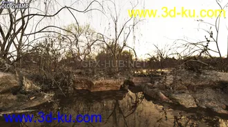 3D打印模型3D Scenery - Old Swamp的图片