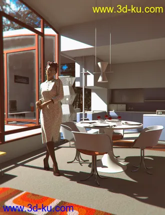 3D打印模型70s Modern House的图片