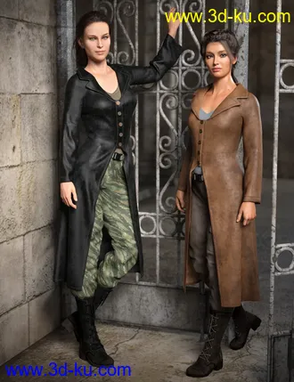 3D打印模型Adventure Hunter Outfit for Genesis 8 and 8.1 Females的图片