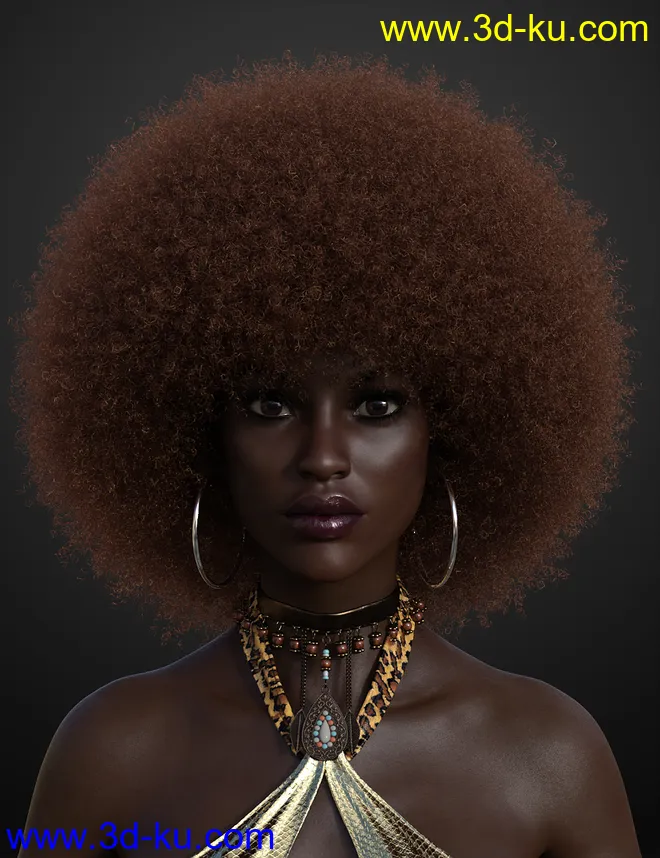 Afro Hair for Genesis 3 and 8模型的图片1