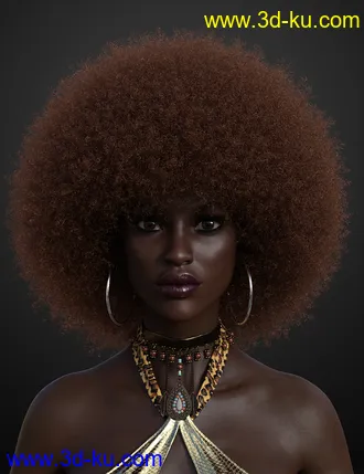 3D打印模型Afro Hair for Genesis 3 and 8的图片