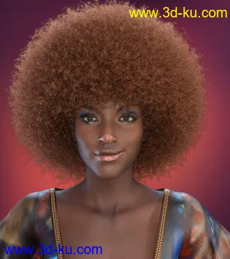 3D打印模型Afro Hair for Genesis 3 and 8的图片