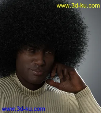 3D打印模型Afro Hair for Genesis 3 and 8的图片