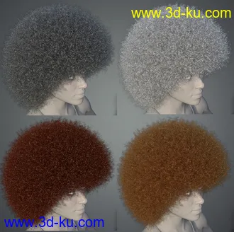 3D打印模型Afro Hair for Genesis 3 and 8的图片