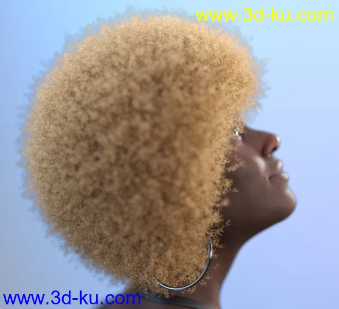 Afro Hair for Genesis 3 and 8模型的图片7