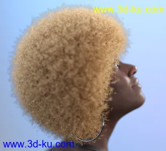3D打印模型Afro Hair for Genesis 3 and 8的图片
