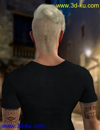 3D打印模型Amato Hair for Genesis 8 Males的图片