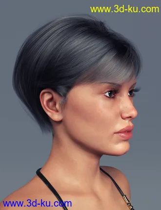 3D打印模型An Hair for Genesis 8 Females的图片