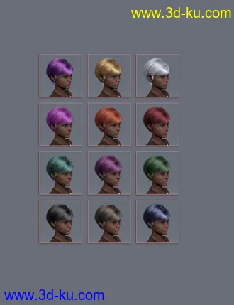 3D打印模型An Hair for Genesis 8 Females的图片