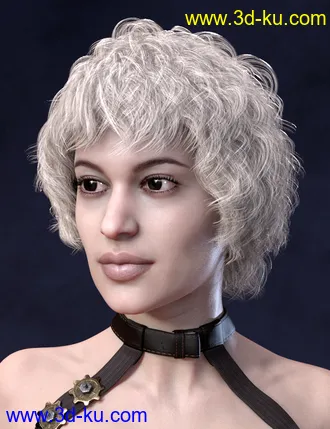3D打印模型Ava Hair for Genesis 8 Females的图片