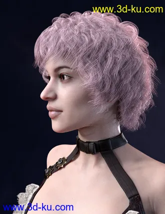 3D打印模型Ava Hair for Genesis 8 Females的图片
