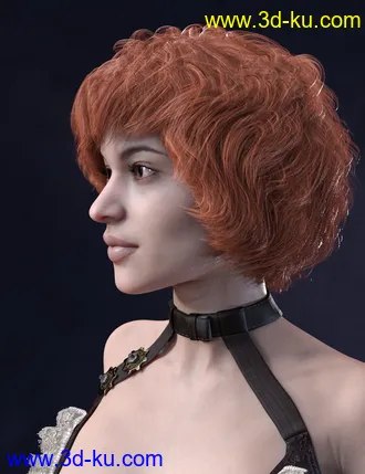 3D打印模型Ava Hair for Genesis 8 Females的图片