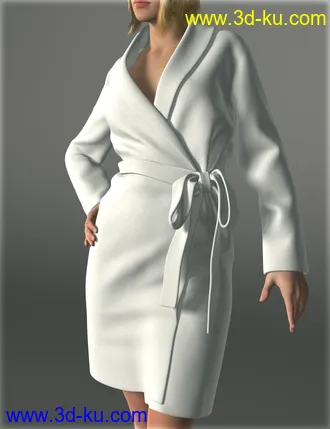 3D打印模型Bathrobe for Genesis 2 Female(s)的图片