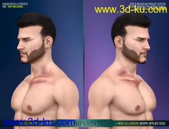 3D打印模型Body Bruises Morphs for Genesis 8 Male(s)的图片