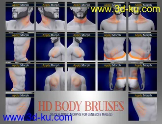 3D打印模型Body Bruises Morphs for Genesis 8 Male(s)的图片