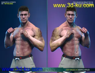3D打印模型Body Bruises Morphs for Genesis 8 Male(s)的图片